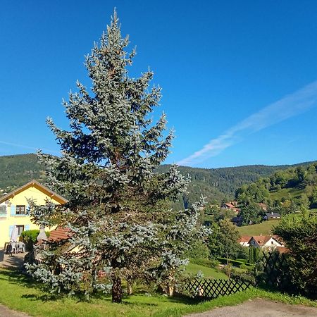Bed and Breakfast Les Sapins Bussang Exterior foto