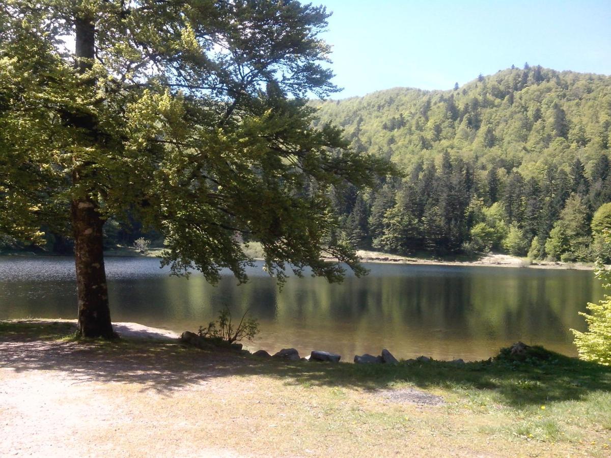 Bed and Breakfast Les Sapins Bussang Exterior foto