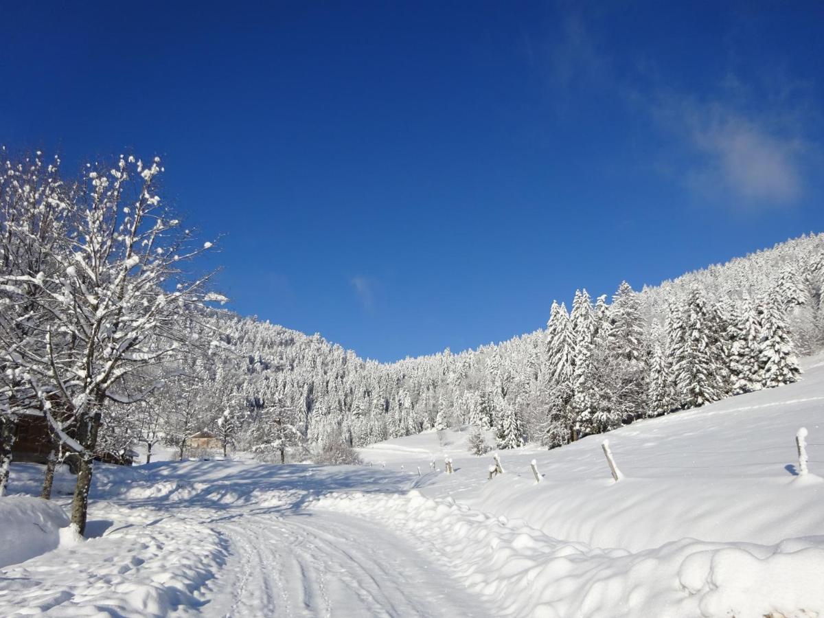 Bed and Breakfast Les Sapins Bussang Exterior foto