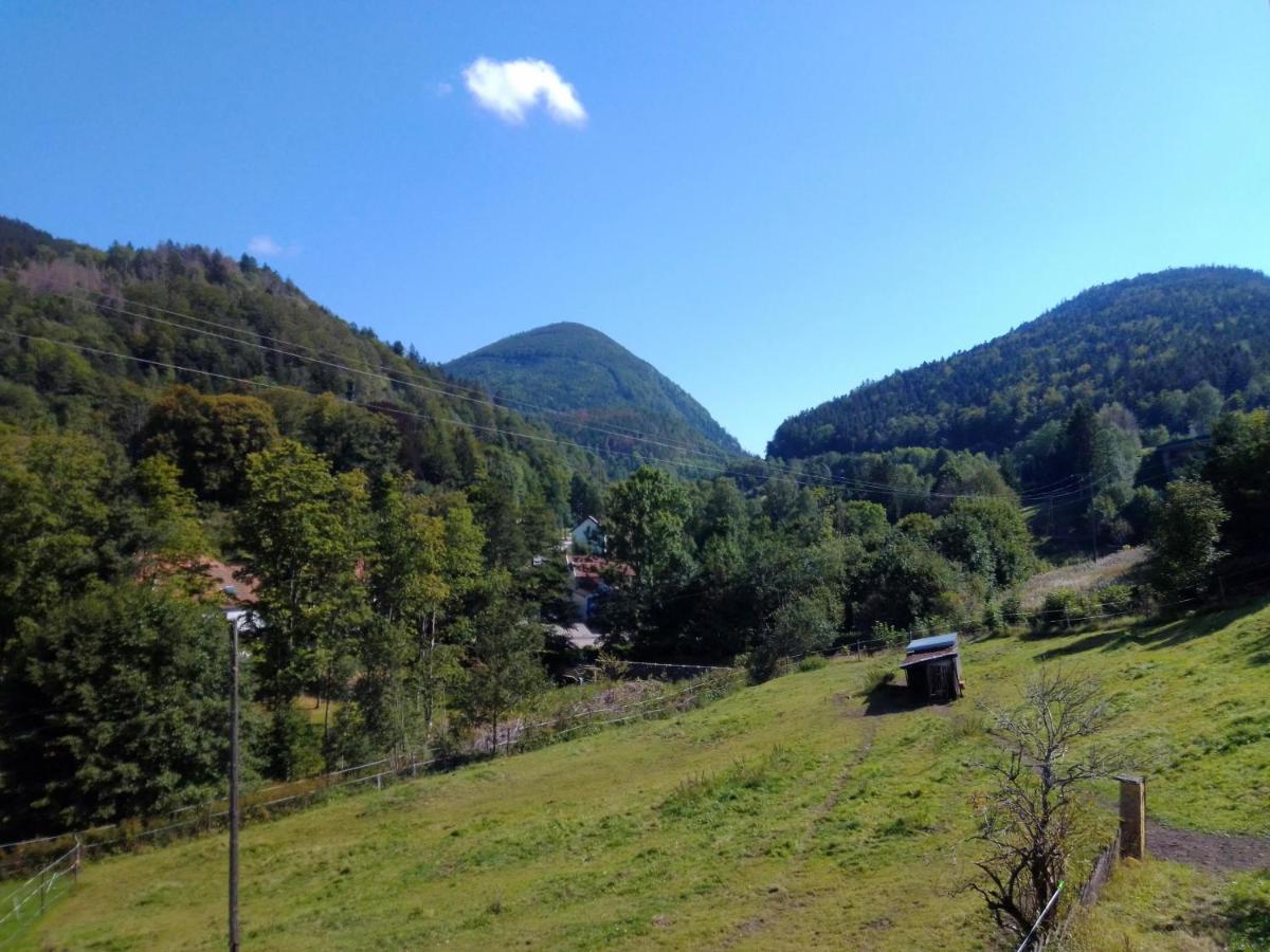 Bed and Breakfast Les Sapins Bussang Exterior foto