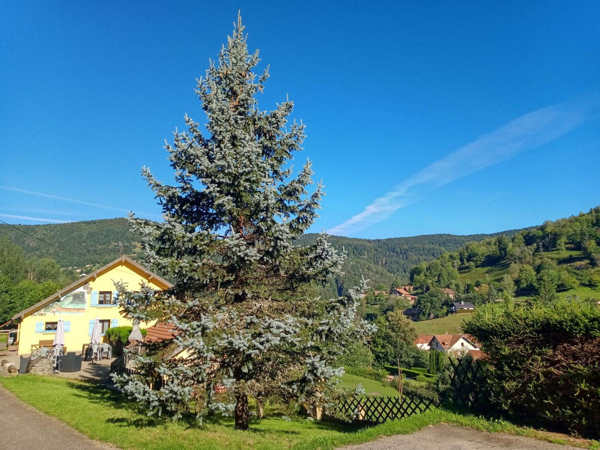 Bed and Breakfast Les Sapins Bussang Exterior foto