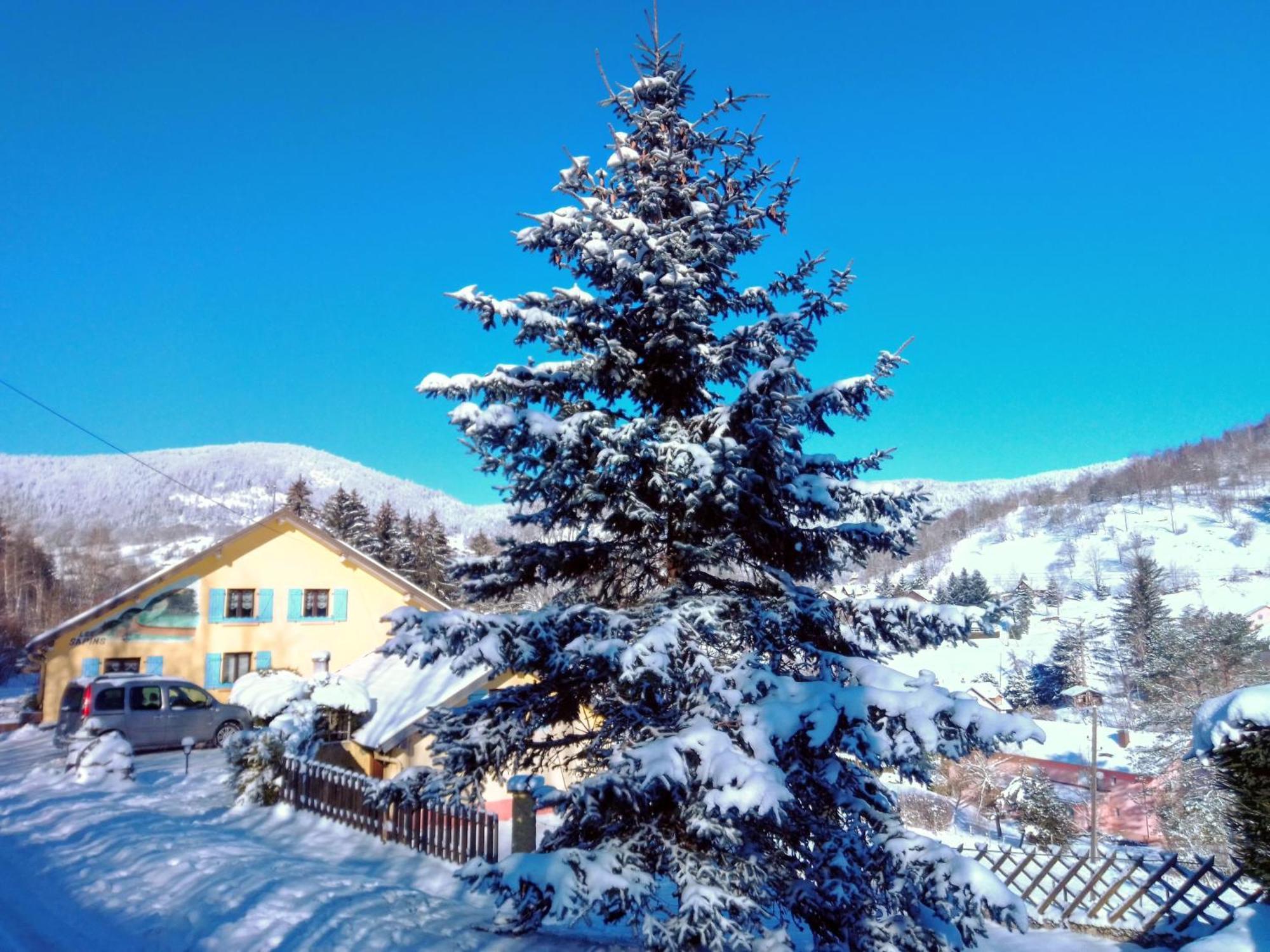 Bed and Breakfast Les Sapins Bussang Exterior foto